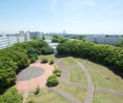 2020年国際協力キャリアガイド:</br>横浜国立大学大学院