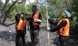 モザンビークで行った森林調査の様子（JICA技術協力プロジェクト）