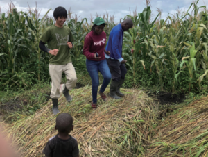 ザンビアNgulula村で農家と堆肥づくり（樋水秀樹さん）1