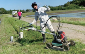 福島県で水田のあぜ道の雑草を刈る