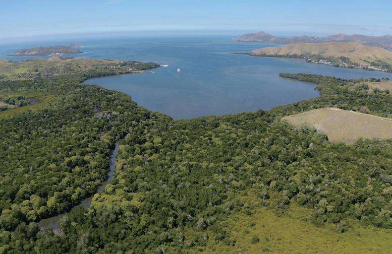 パプアニューギニアの首都近郊のマングローブ林。海洋保護区設立活動対象地域