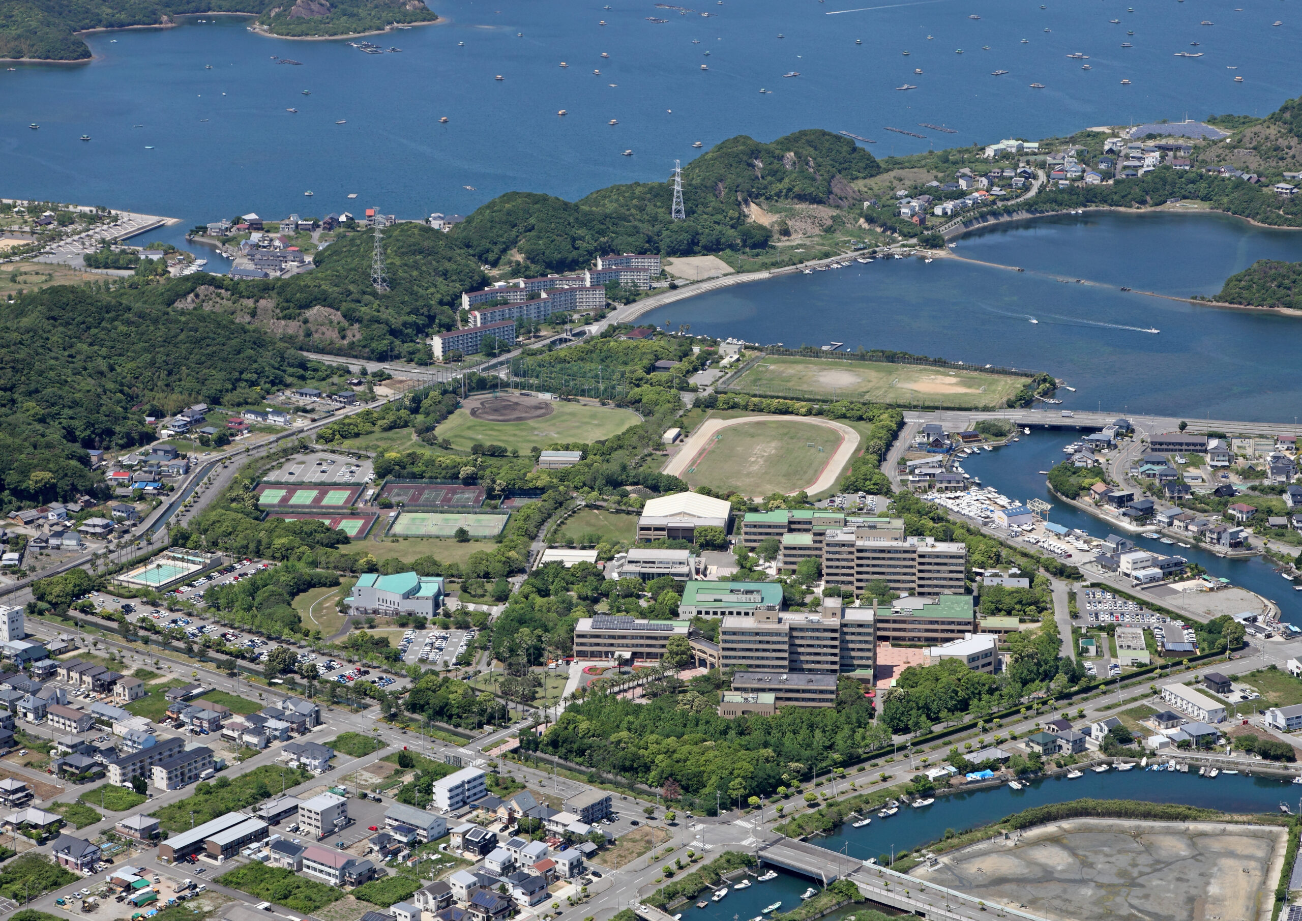 鳴門 教育 大学
